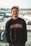 ai-created-mockup-of-a-smiling-man-wearing-a-sweatshirt-at-an-airport-m40551 (28)